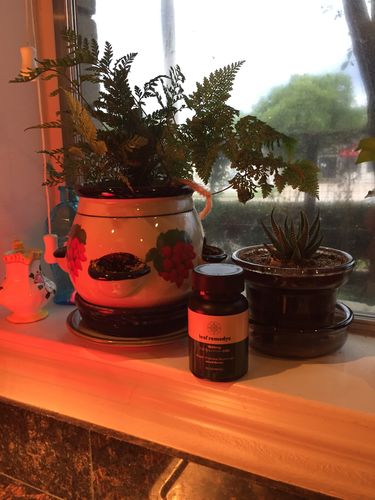 Customer photo review of 1500mg CBD Gummies mixed flavors