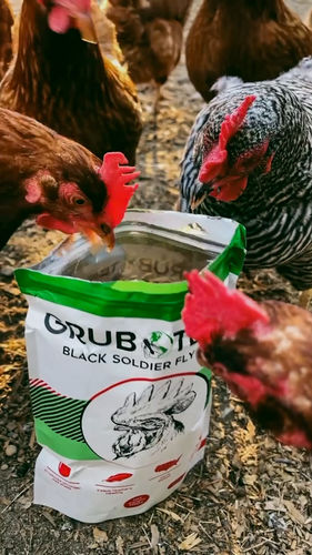 Customer photo review of GrubTerra Dried Larvae