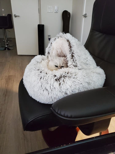 Customer photo review of Calming Pet Cave