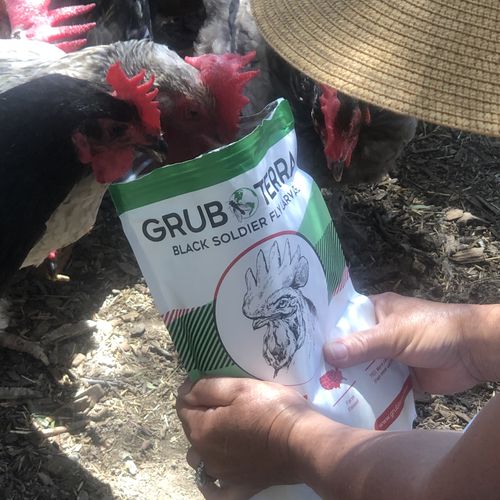 Customer photo review of GrubTerra Dried Larvae
