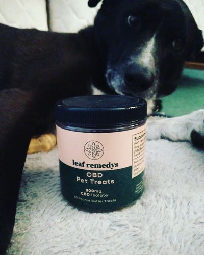 Customer photo review of CBD Pet Treats