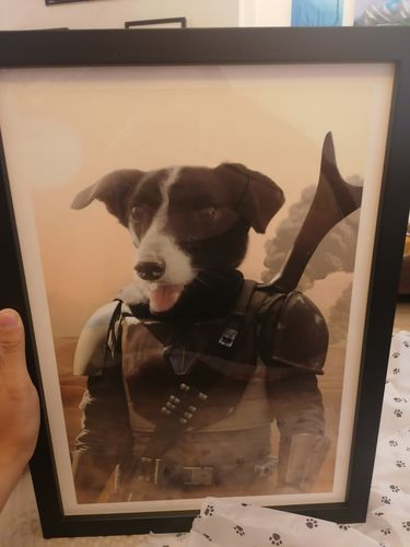 Customer photo review of The Mando - Custom Pet Portrait