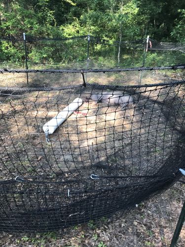 Customer photo review of T-Post Mounts - Pack of 10