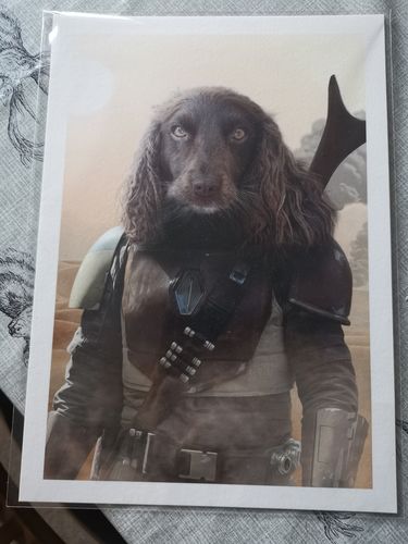 Customer photo review of The Mando - Custom Pet Portrait