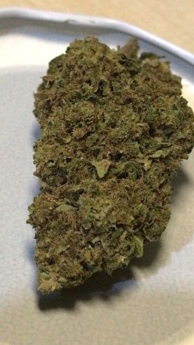 Customer photo review of BUDDHA CHEESE Greenhouse CBD+A 22%