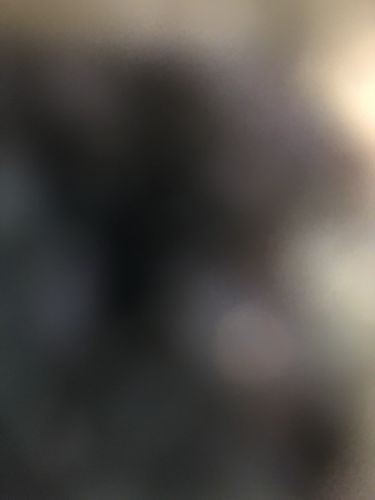 Customer photo review of Wally’s Salmon N’ Rice Meal Pouch