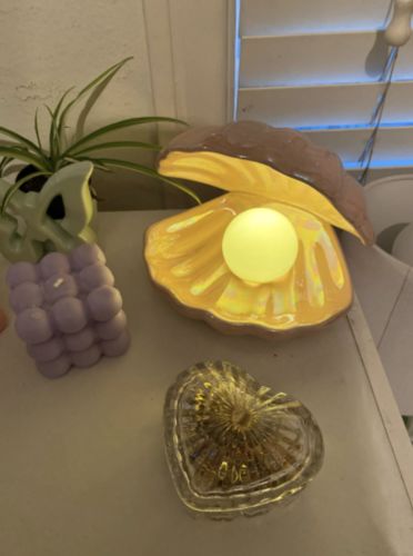 Customer photo review of Vespani Shell Lamp