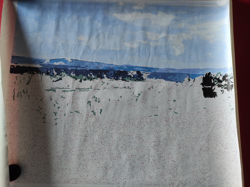 Customer photo review of Pintar por numeros personalizado