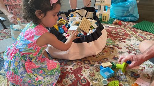 Customer photo review of Large Toy Storage Bag - Canvas