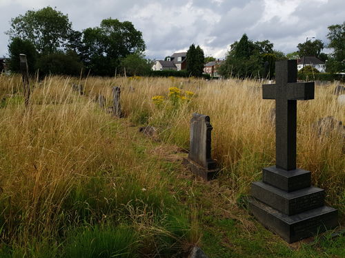 Customer photo review of Samsung Galaxy S9 Plus 128GB Lilac Purple Unlocked Refurbished Excellent