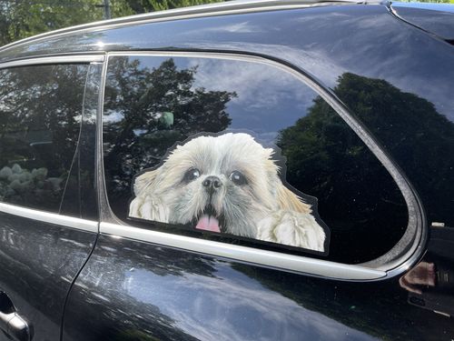Customer photo review of Can You See Me Now - Shih Tzu Car/ Door/ Fridge/ Laptop Sticker V1