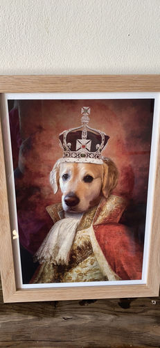 Customer photo review of The King - Custom Vintage Pet Portrait