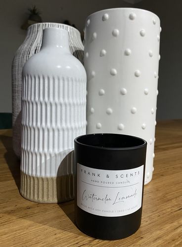 Customer photo review of Watermelon Lemonade