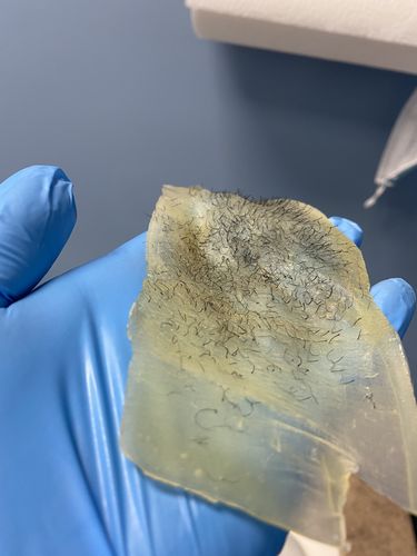 Customer photo review of Hard Wax - 10LB - Smooth Nectar