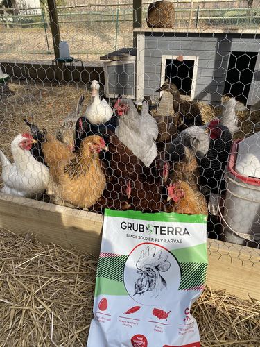 Customer photo review of GrubTerra Dried Larvae