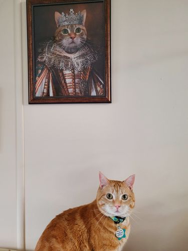Customer photo review of The Queen - Custom Vintage Pet Portrait