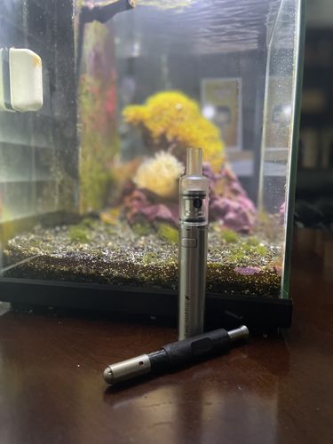 Customer photo review of The Hippie W