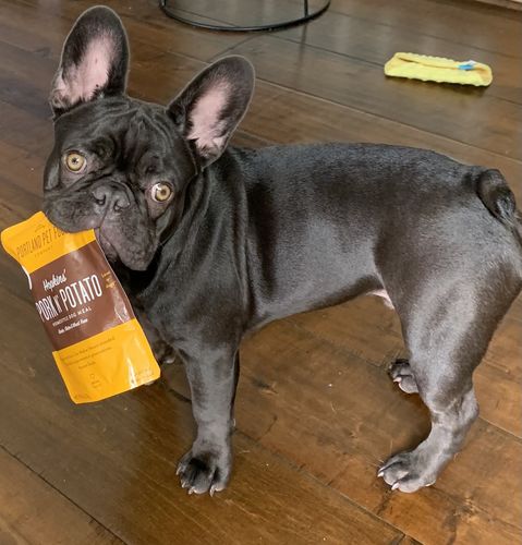 Customer photo review of Hopkins' Pork N' Potato Grain & Gluten-Free Meal Pouch Auto renew