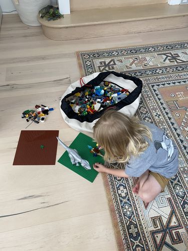 Customer photo review of MEDIUM Toy Storage Bag - Canvas/Black