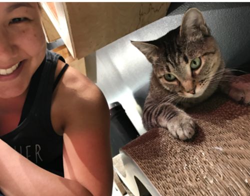 Customer photo review of Abundance PLUS Collection