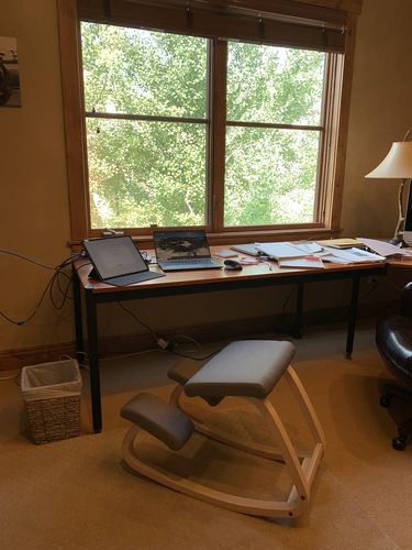 Customer photo review of Variable Balans Kneeling Chair