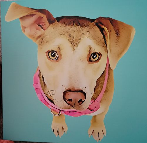 Customer photo review of Custom Pet Portrait - Square Canvas