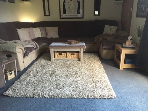 Customer photo review of Austin Plush Latte Shaggy Rug