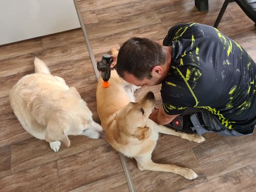 Customer photo review of NEU DeinPhysio® Massage Gun 2.0