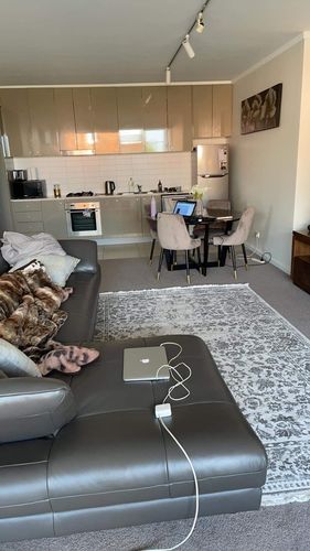 Customer photo review of Rapsody Aoede Grey Rug
