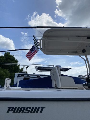 Customer photo review of American Flag