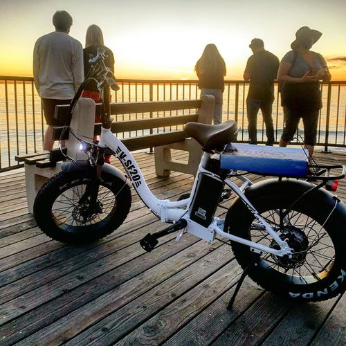 Customer photo review of VTUVIA SF20 Step Through 20 Inch Folding Fat Tire Electric Bike, 750W Motor, 48V 13AH Removable Battery-In Stock