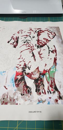 Customer photo review of Colorful Elephant