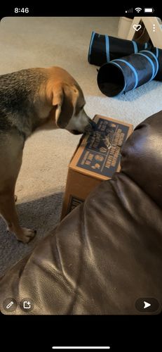 Customer photo review of Party Box Auto renew
