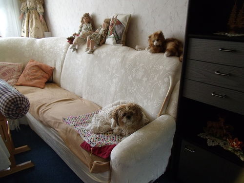 Customer photo review of Creme-Weiß - Sofabezüge aus Geprägter Samt für klassische und Ecksofas - Das Haus der Überzüge