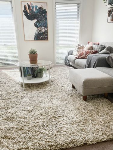 Customer photo review of Austin Plush Latte Shaggy Rug