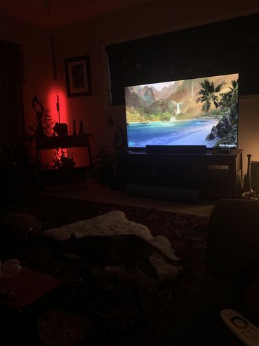 Customer photo review of LED Color Changing Light — LitLamp™