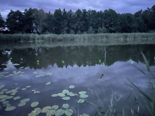Customer photo review of 5g Smart Fishing Float