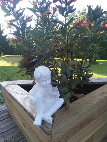 Customer photo review of Statues enfants