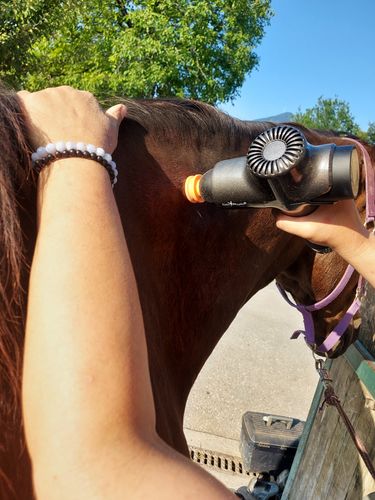 Customer photo review of NEU DeinPhysio® Massage Gun 2.0