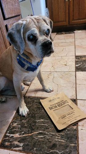Customer photo review of Grain & Gluten-Free Bacon Biscuit Dog Treats