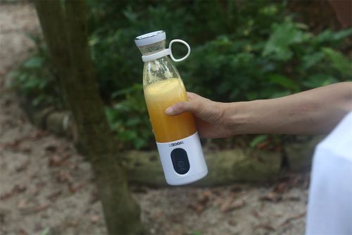 Customer photo review of Leegoal® Blender Bravo | The Most Powerful Portable Blender