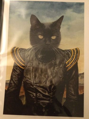 Customer photo review of The Dark Queen - Custom Vintage Pet Portrait