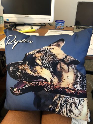 Customer photo review of Personalized Pet Portrait Pillow