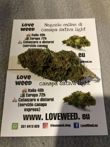 Customer photo review of LEMON SKUNK (Mini Buds) (Da 2€/gr) 5GR 10GR 50GR 100GR
