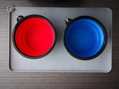 Customer photo review of 2 Pack Outdoor Collapsible Dog Bowls with Carabiner Clip
