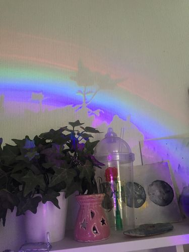 Customer photo review of Rainbow Projector™