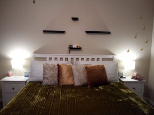 Customer photo review of Mini Projector