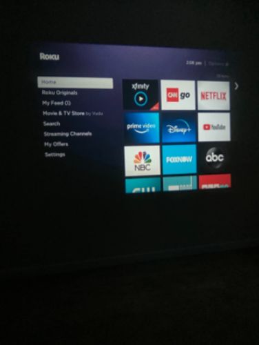 Customer photo review of Mini Projector
