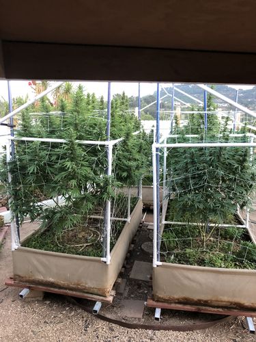 Customer photo review of BioVast Compost