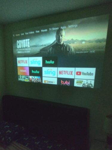 Customer photo review of Mini Projector